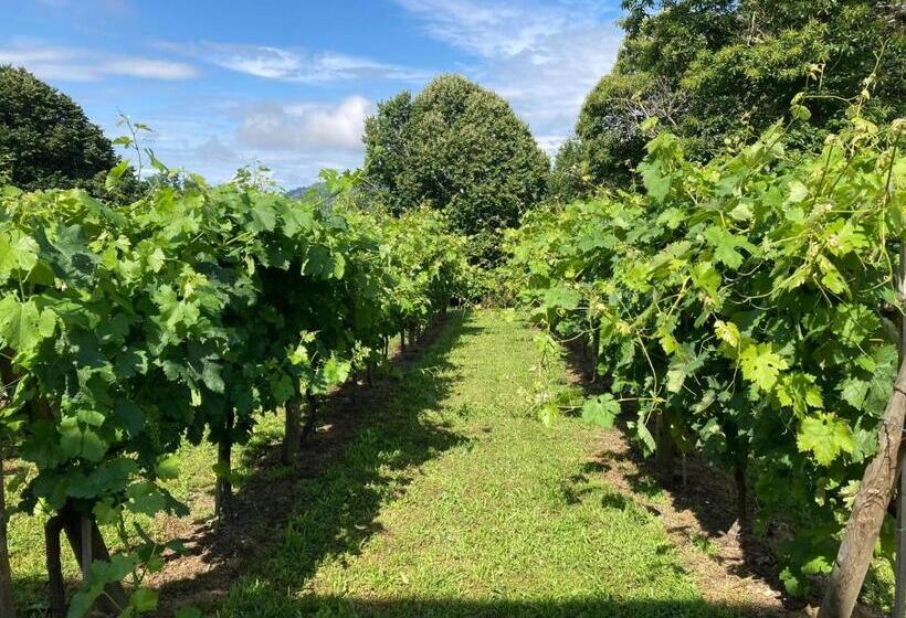 ペンション Eido Do Rei Hospedaxe Rural