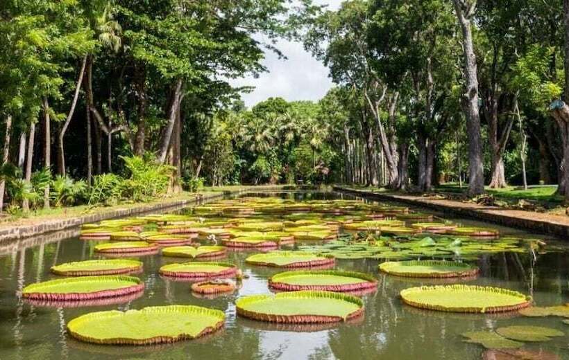 Pereybere Beachside Apartment