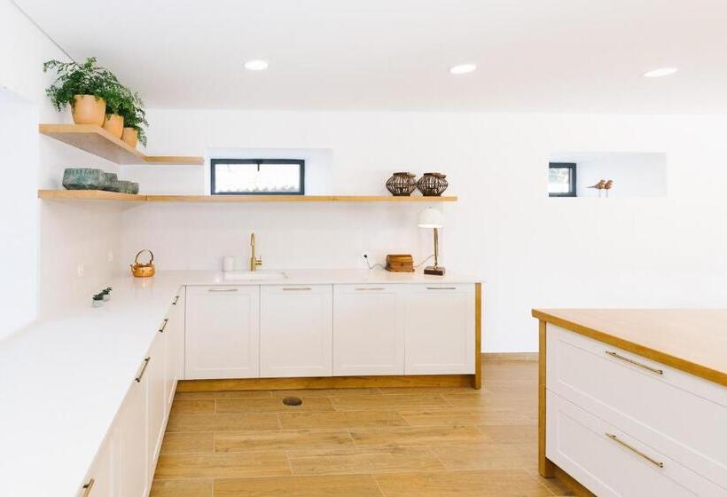 ベッドアンドブレックファースト Casa Vieira Lobo