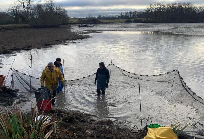 ベッドアンドブレックファースト Chambres D Hôte à La Ferme Des Buttons, Chambre Iris