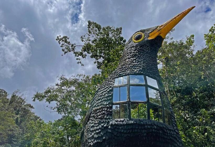 בית מלון כפרי Cabañas Jc