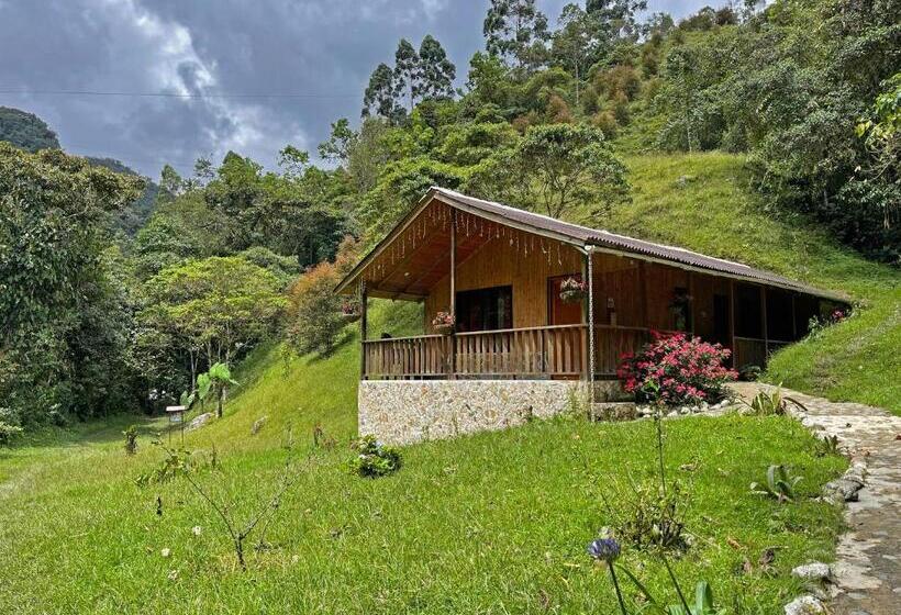 בית מלון כפרי Cabañas Jc