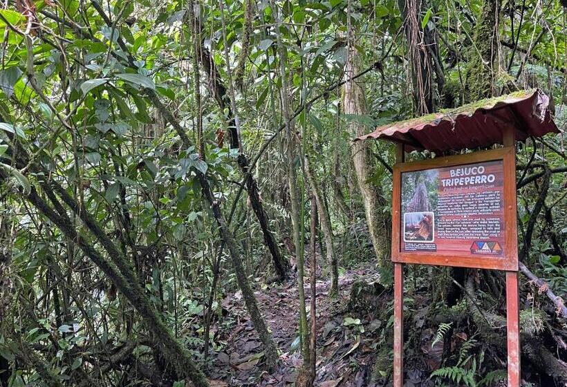 בית מלון כפרי Cabañas Jc