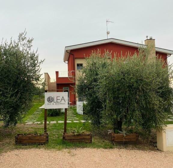 Olea B&b