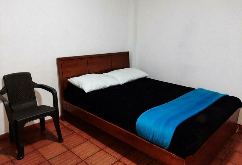 膳宿费 Bogotá Kings 101