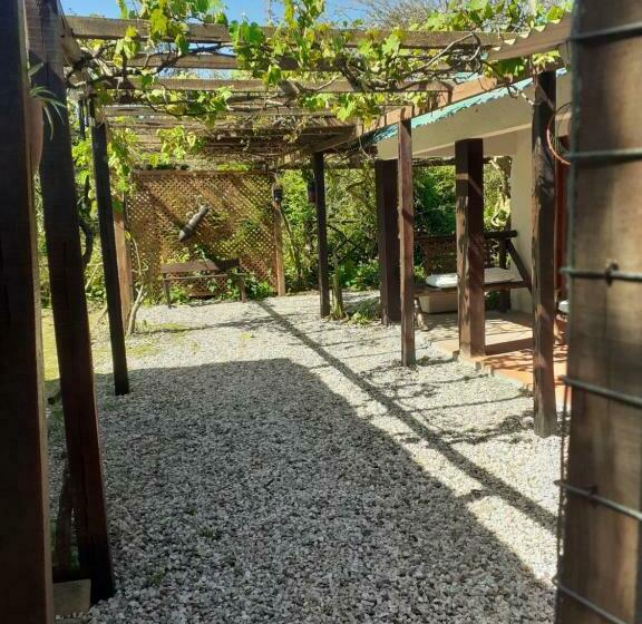 ペンション Casa Buganvilla