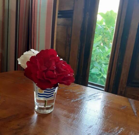 ペンション Casa Buganvilla