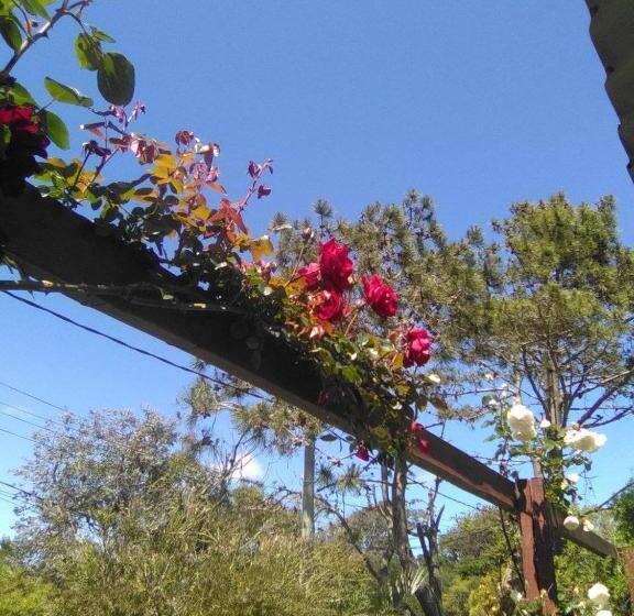 פנסיון Casa Buganvilla