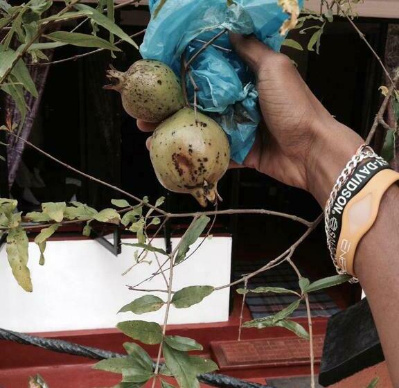 بنسيون Family Lodge Guest House