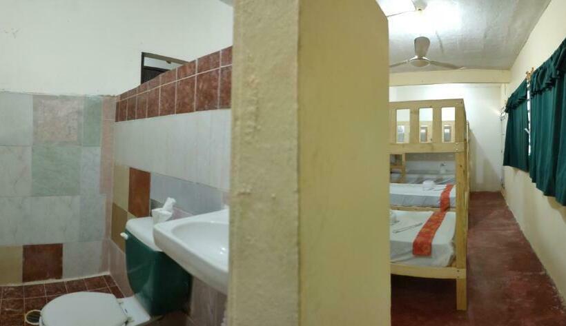 膳宿费 Hostal Pakal King