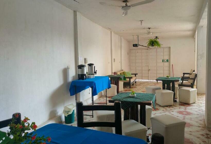 膳宿费 Hostal Pakal King