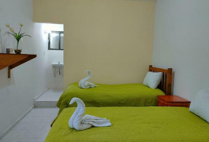 膳宿费 Hostal Pakal King