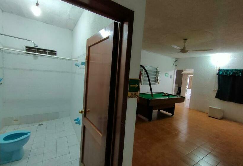 膳宿费 Hostal Pakal King