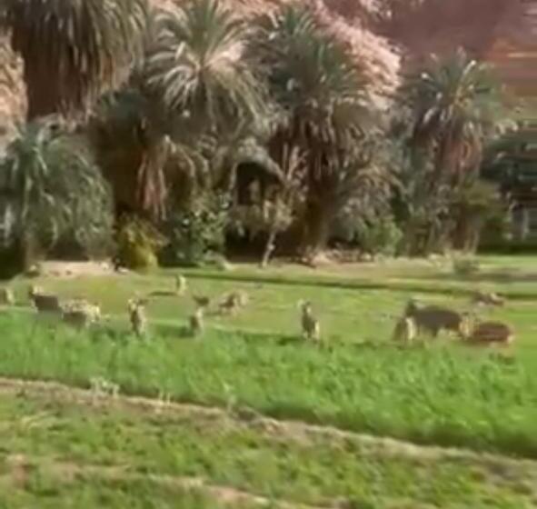 پانسیون Riad Dar Ahlam