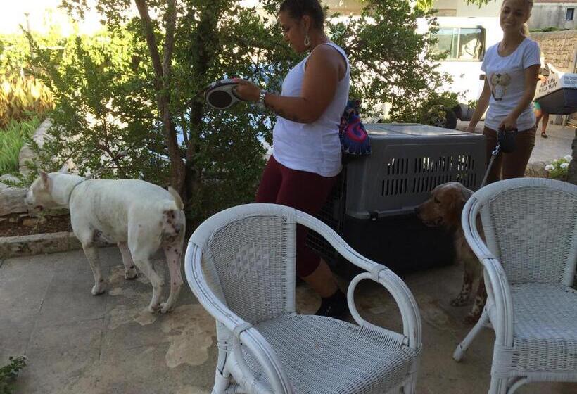 Bed and Breakfast La Piccola Locanda