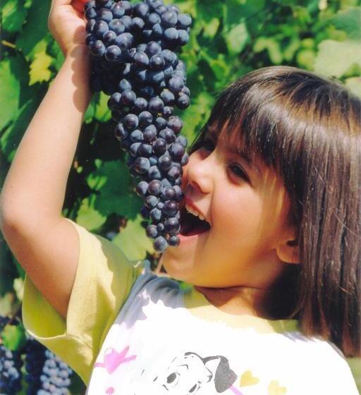 Cascina Rocca Agriturismo B&b