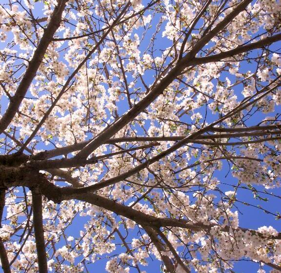 Cascina Rocca Agriturismo B&b