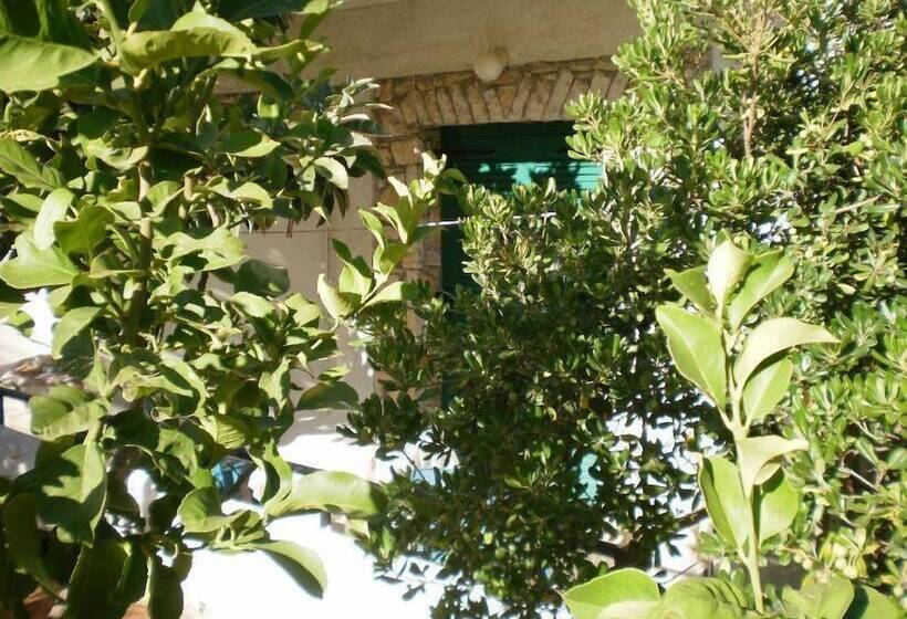 Damaskis Kassiopi Studios