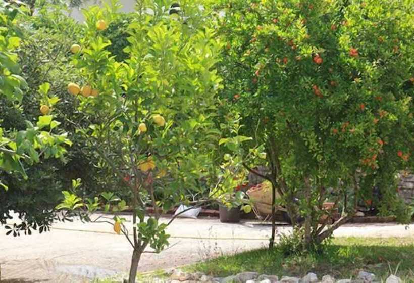 Damaskis Kassiopi Studios