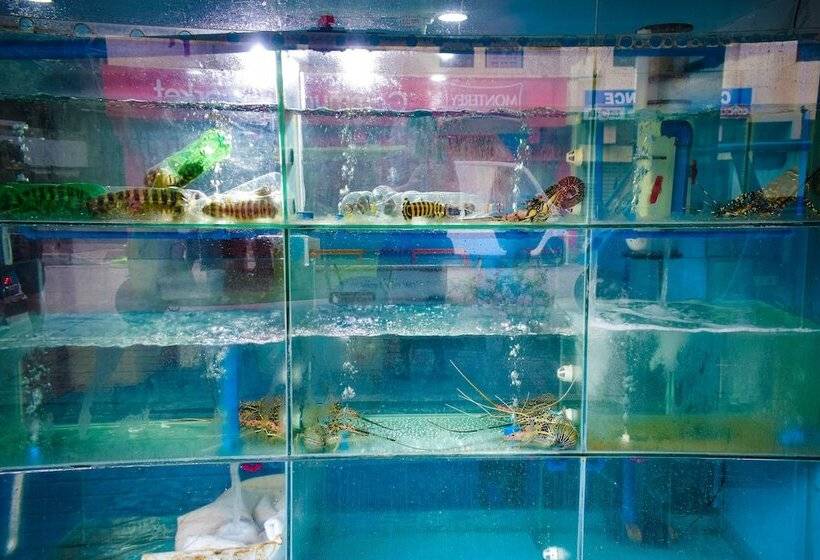 Erus Suites Hotel Boracay