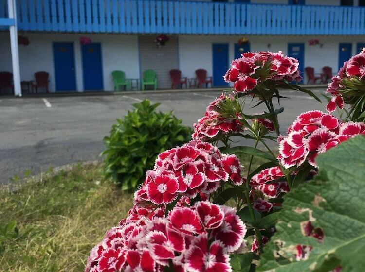 Fuller Lake Chemainus Motel