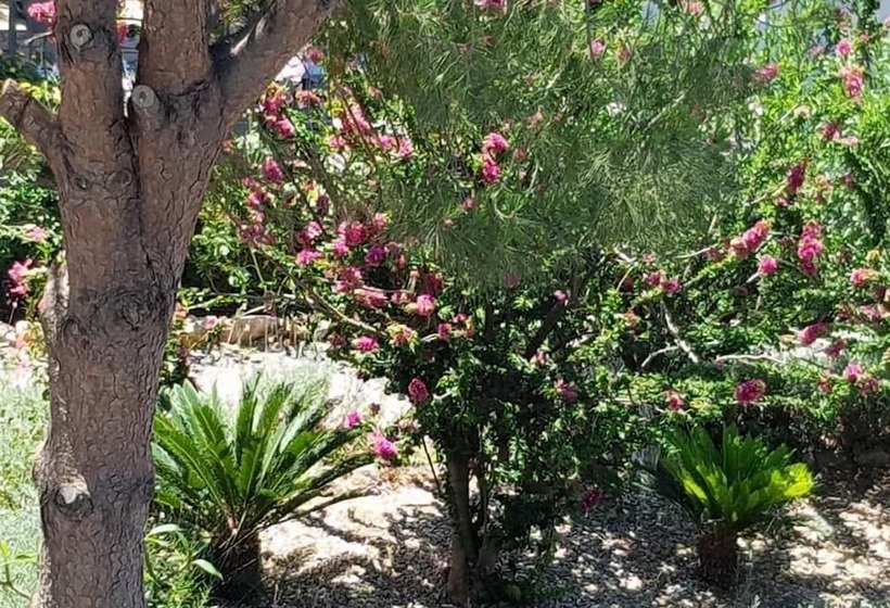 George Beach Studios