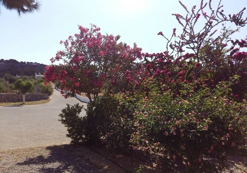 George Beach Studios