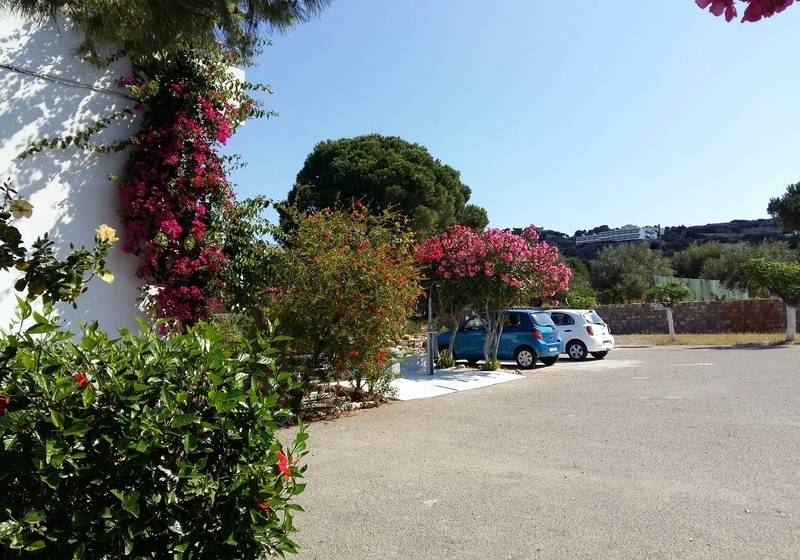 George Beach Studios