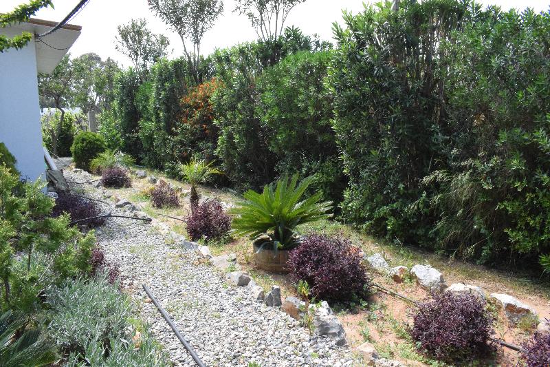 George Beach Studios