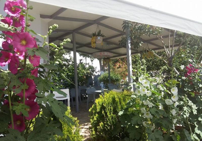 George Beach Studios