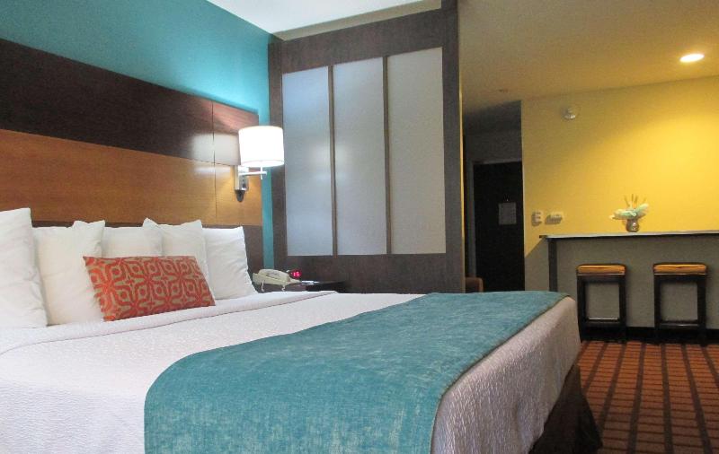 簡易ホテル Best Western Plus Harrisburg Mechanicsburg