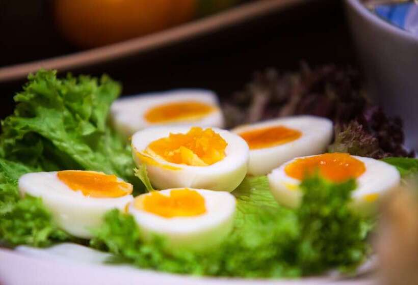 فندق Apartment Das Au  Gut