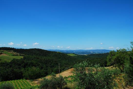 ホテル B B Le Querciole