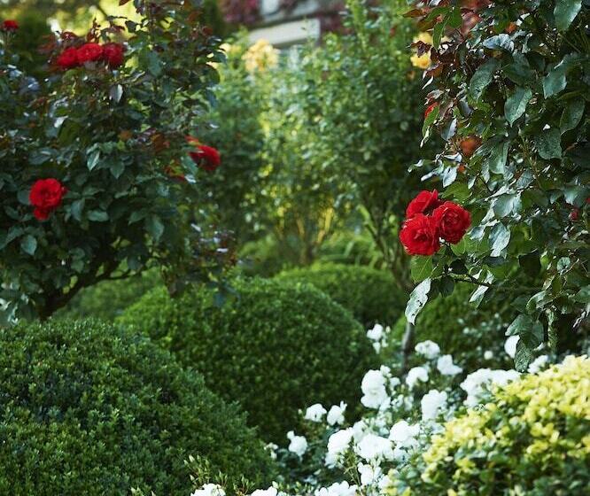 Ballymascanlon Hotel And Golf Resort