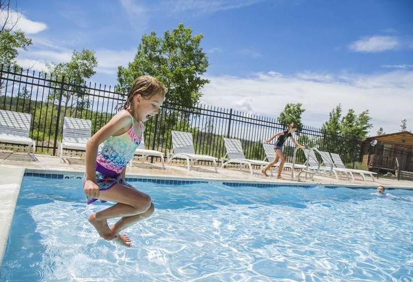 Отель Bear River Lodge