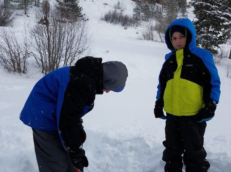 Отель Bear River Lodge