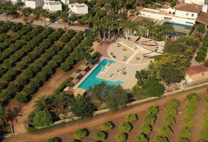 ホテル Can Jaume By Ocean Drive