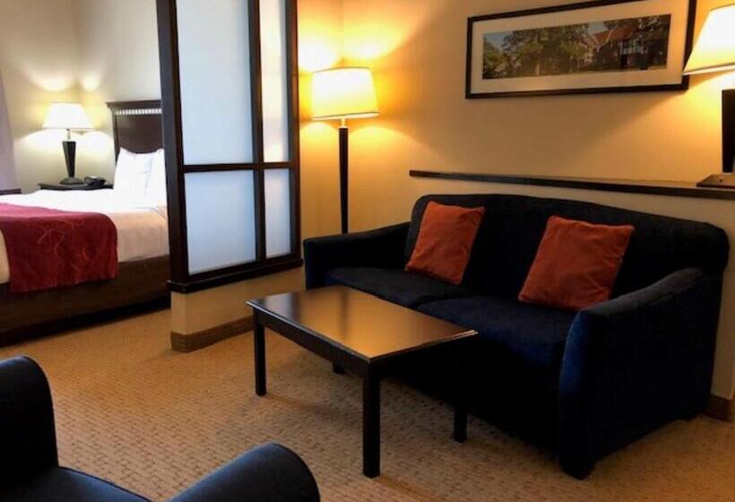 Отель Comfort Suites