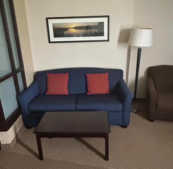 Отель Comfort Suites