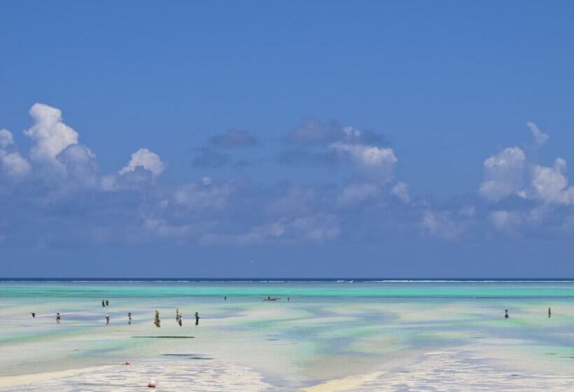 호텔 Dhow Inn Boutique