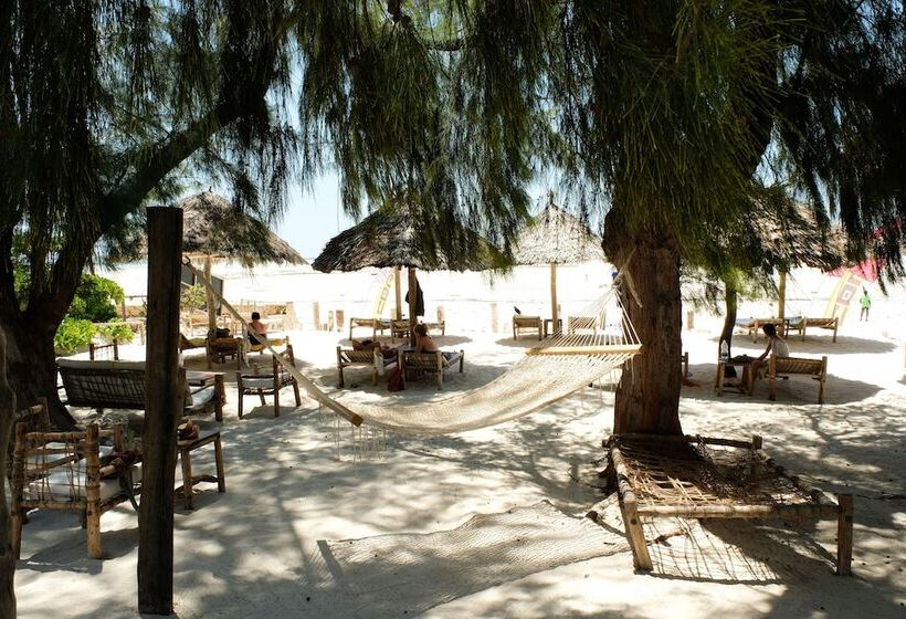 호텔 Dhow Inn Boutique