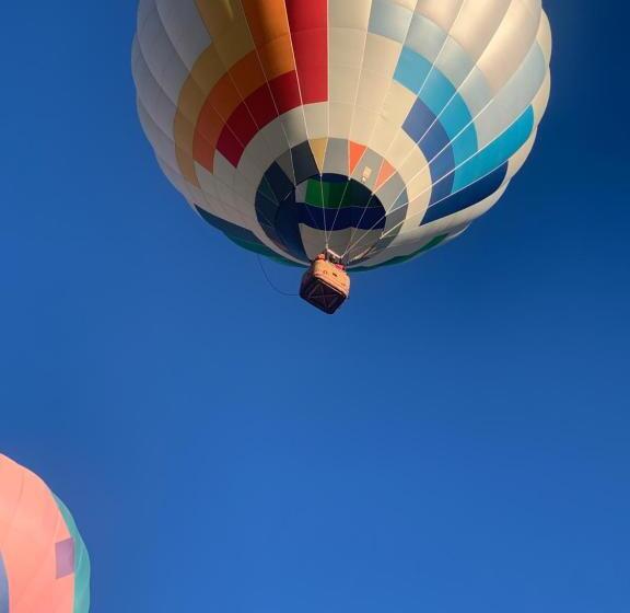 호텔 Dragonfly Motor Lodge