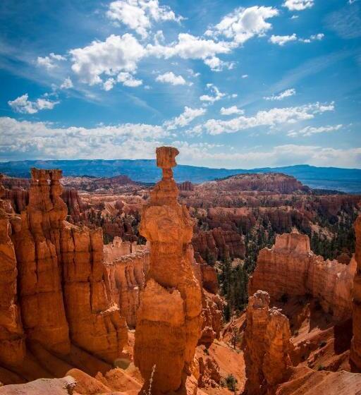 호텔 Dragonfly Motor Lodge