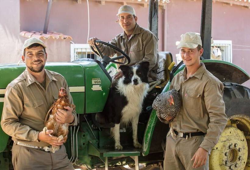 ホテル El Colibri Relais & Châteaux