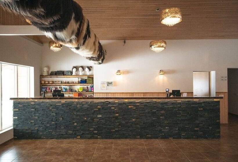 هتل Hótel Dyrhólaey