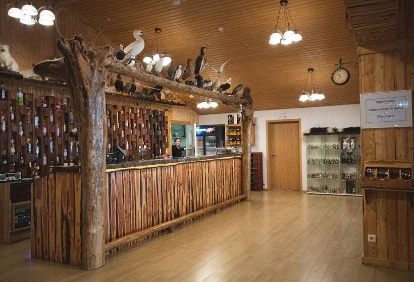 هتل Hótel Dyrhólaey