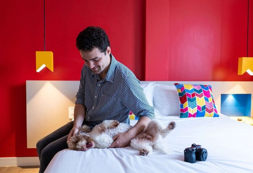 酒店 Ibis Styles Campina Grande