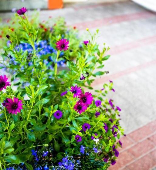 ホテル L Morby  Danderyd Hospital