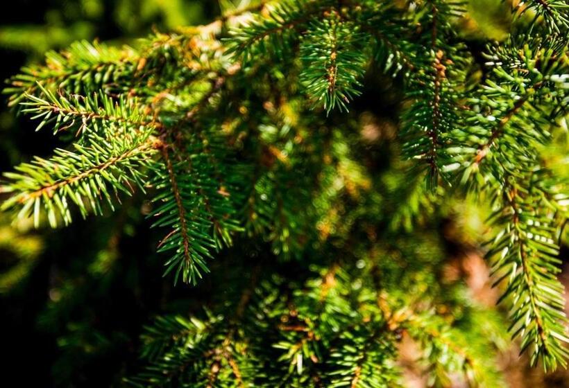 ホテル L Morby  Danderyd Hospital