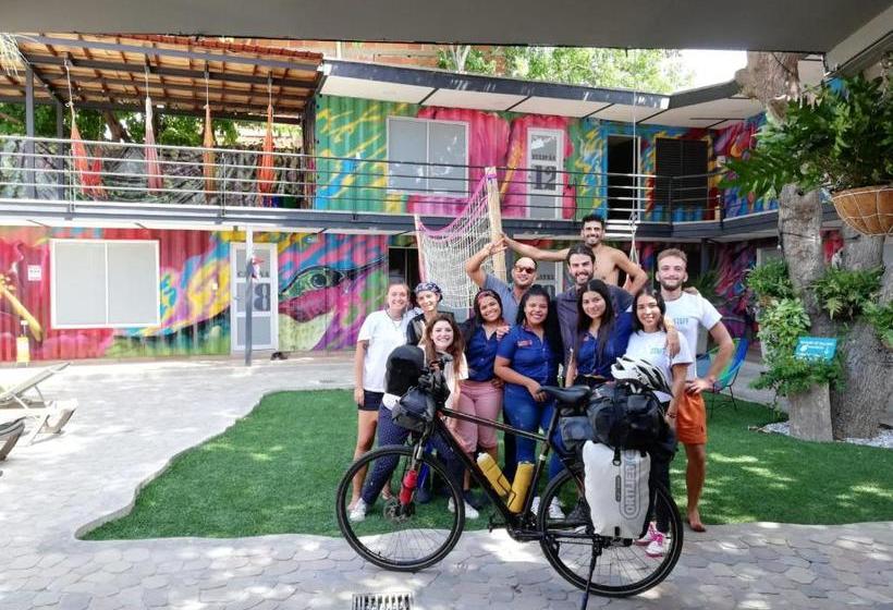 ホテル Casa Avelina Boutique Hostel